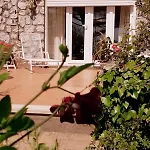 Сasa de vacaciones Rosetta Capri
