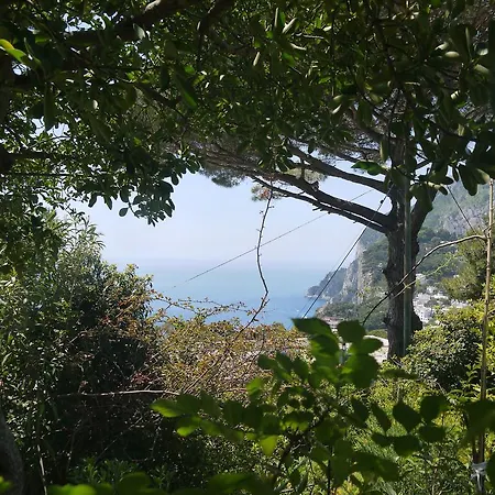 Hébergement de vacances Villetta Rosetta Capri