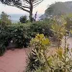 Rosetta كابري