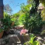 Rosetta * كابري
