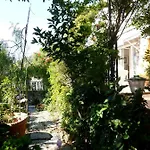 Rosetta كابري