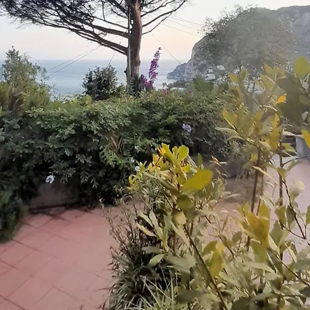 Rosetta Capri