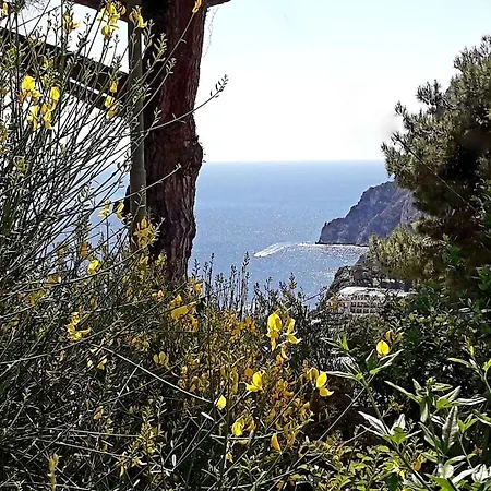 Rosetta Holiday home