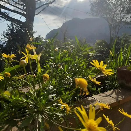 Rosetta Holiday home Capri