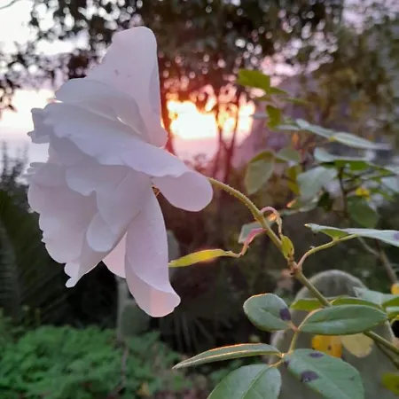 Villetta Rosetta Дом отдыха