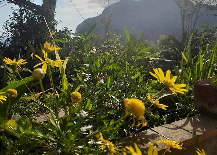 Villetta Rosetta * Capri