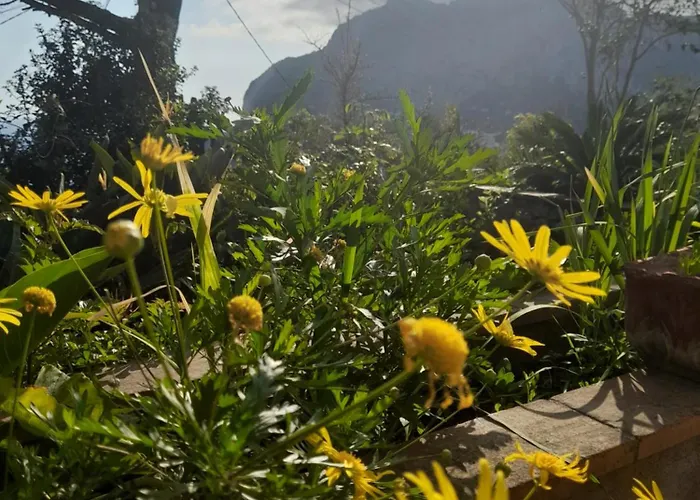 Villetta Rosetta Dom wakacyjny Capri