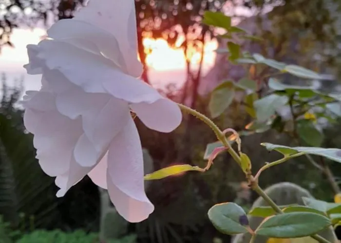 Villetta Rosetta Dom wakacyjny