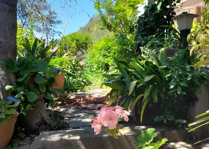 Rosetta * Κάπρι